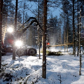 EU:n lulucf-päätöksellä on vaikutusta myös Suomen metsien käyttöön.