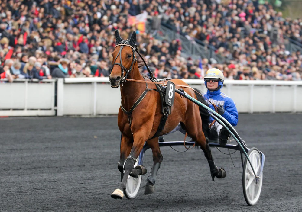 Solvalla on nimennyt uuden suuren nelivuotislähtönsä Prix d'Amerique -voittaja Readly Expressin mukaan. Prix de Readly Express ajetaan kesäkuussa.