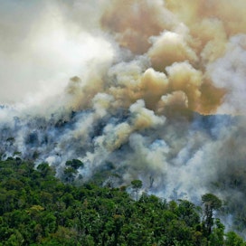 Amazonin sademetsä on maailman suurin sademetsä. Kuva viime vuoden elokuulta. LEHTKUVA/AFP