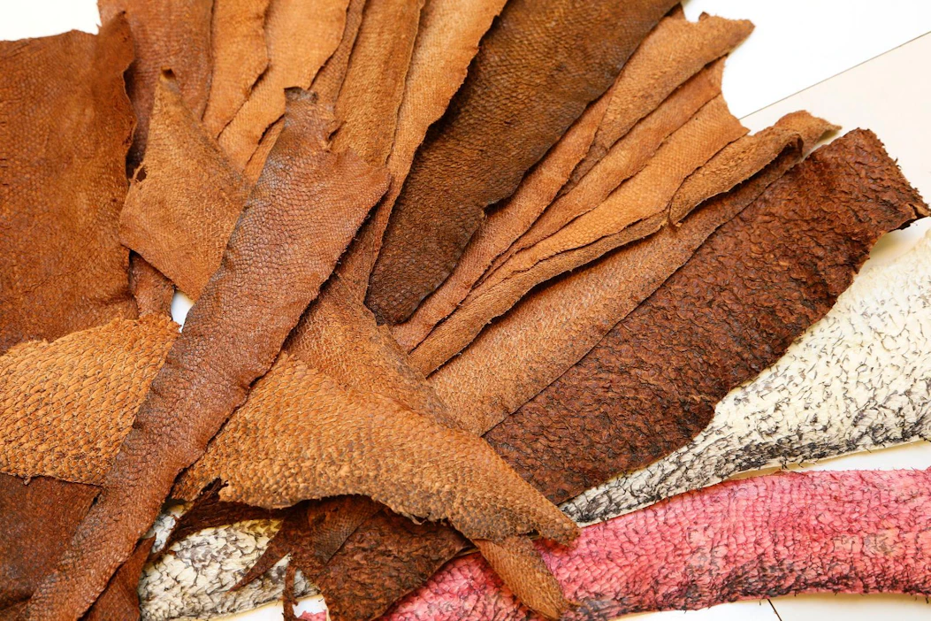 Kuhan, kirjolohen, hauen ja suutarin nahkoja Axxell Brusabyn kansanopistolinjalla Kemiössä.