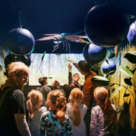 Joensuun Enon koululaiset kulkivat torstaina Pohjois-Karjalan museo Hilmassa taikakannon läpi ja muuttuivat pieniksi kuin muurahaiset ja katselivat maailmaa mustikanvarpujen alla.