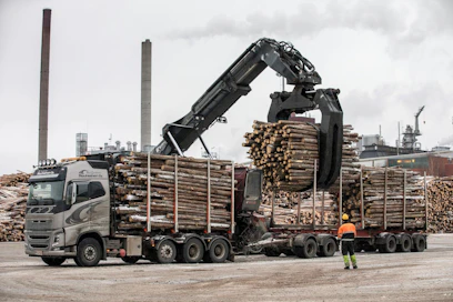 Stora Enso vaihtoi Varkauden sellutehtaalla koivun havukuiduksi, mikä vähensi koivukuiden käyttöä 800 000 kuutiota vuodessa. Kuusikuitua purettiin Varkaudessa viime viikolla.