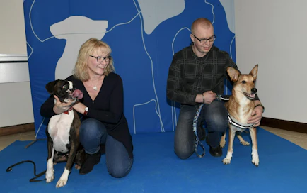 Maritta Norosen saattelema Alli ja Turre Metsolan saattelema Lassi palkittiin sankarikoiran arvolla Helsingissä koiramessuilla.  LEHTIKUVA/Martti Kainulainen