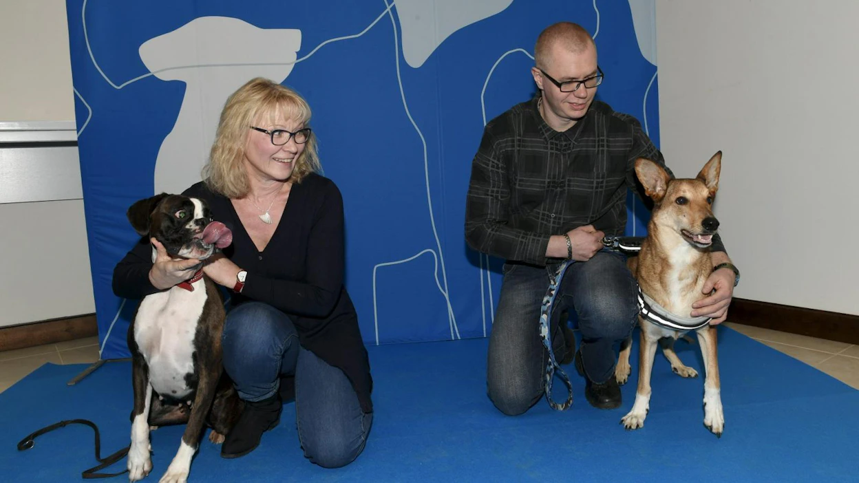 Maritta Norosen saattelema Alli ja Turre Metsolan saattelema Lassi palkittiin sankarikoiran arvolla Helsingissä koiramessuilla. LEHTIKUVA/Martti Kainulainen