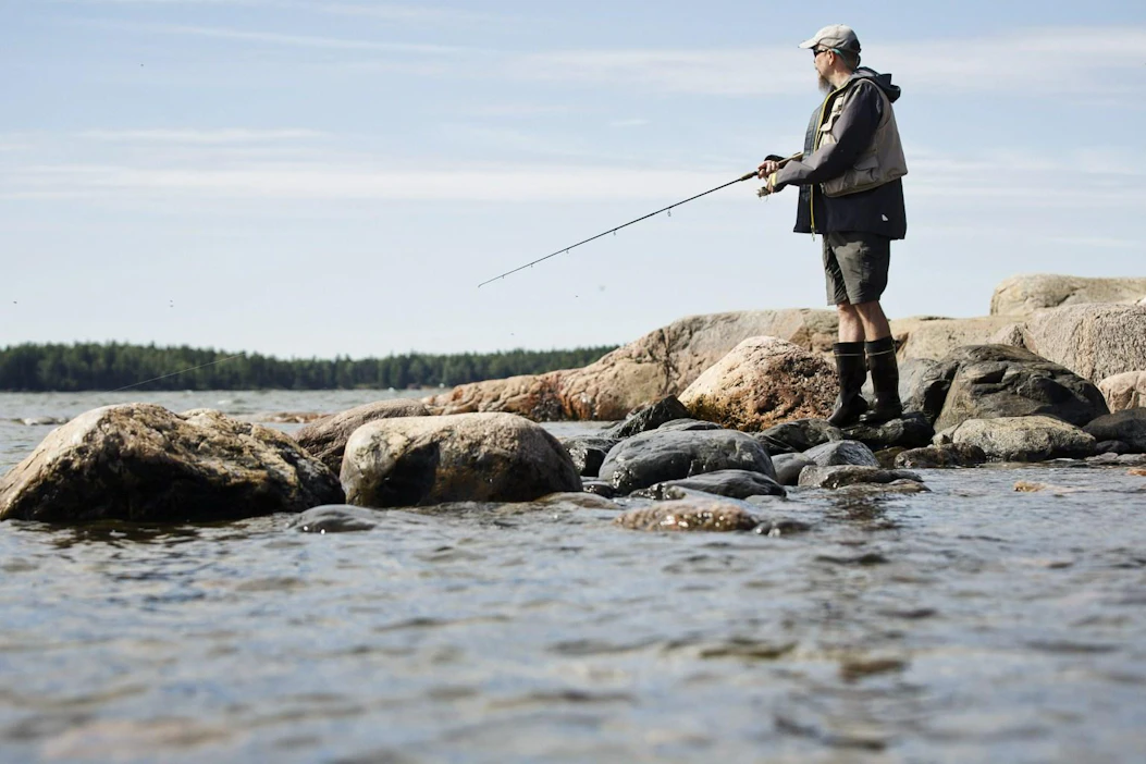 Suomenlahdelle työntyvät hapettomat ja ravinteikkaat vedet voivat aiheuttaa tulevina vuosina normaalia voimakkaampia sinileväkukintoja.