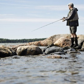 Suomenlahdelle työntyvät hapettomat ja ravinteikkaat vedet voivat aiheuttaa tulevina vuosina normaalia voimakkaampia sinileväkukintoja.