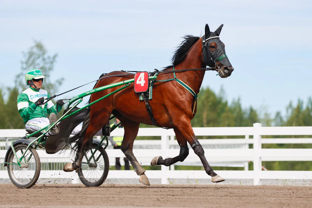 Kuvassa valmentajansa Juho Ihamuotilan ajama Knocking Match saa rattailleen Antti Teivaisen illan 65-koitoksessa. Valmentaja odottaa hevostaan kärkeen.