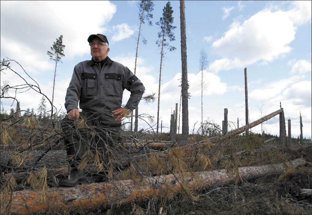 Matti Rossi käy vieläkin silloin tällöin entisellä metsäpalstallaan ihmettelemässä kesän 2010 myrskytuhon laajuutta. Sami Karppinen