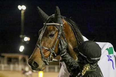 Hanna Haanniemi antaa Tomacille ansaitut taputukset. Robot Stable Oy:n hevosista Fakir Victory palaa tauolta ensi perjantaina Forssassa, sekin on Tapio Mäki-Tulokkaan valmennuksessa.