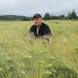 Maanviljelijä Timo Tuovinen kuvailee kuluvaa kasvukautta haastavaksi. Viljelijä tarkasti tiluksiaan Korpijärvellä maanantaina.