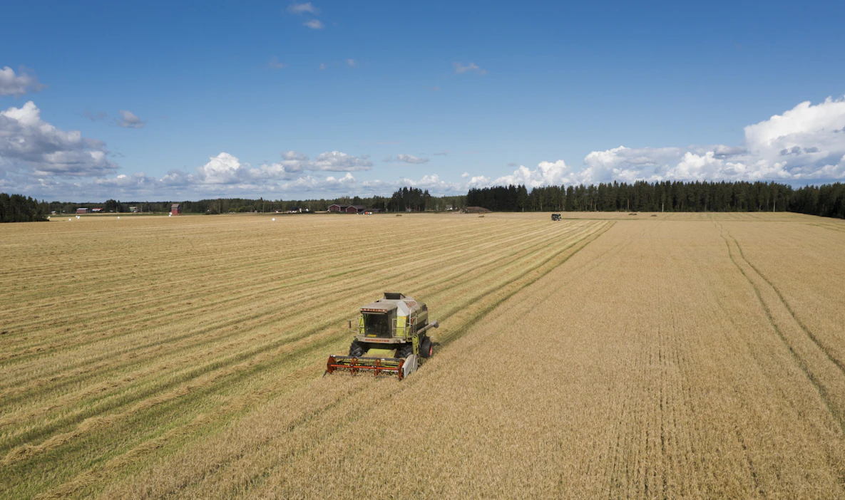 Kotimainen ruuantuotanto antaa varmuutta ruuan saatavuudesta, MTK-Pohjois-Savon tiedotteessa todetaan.