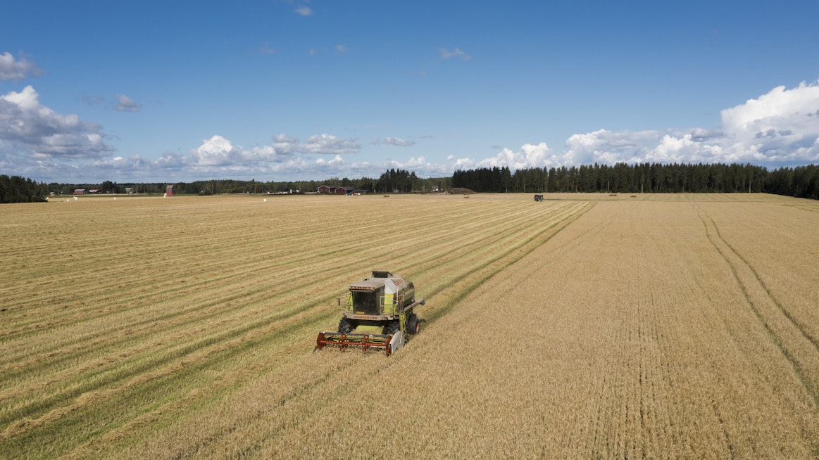 Vuonna 2021 käytössä olevaa maatalousmaata oli yhteensä 2 268 000 hehtaaria. Ala pieneni edellisvuodesta vajaa 2000 hehtaaria. Kuvituskuva.