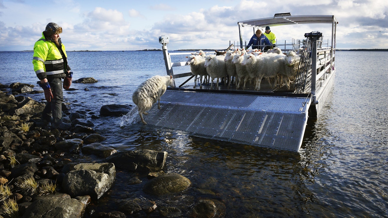 Lampuri Janne Jokela  noutamassa maisemanhoitajia saaristosta. Merellä sijaitsevat hoitokohteet edellyttävät hyvää kalustoa, josta tulee merkittävästi kuluja. 