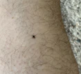 Ensikontakti saatu. Vihollinen etenee kohti määränpäätään.