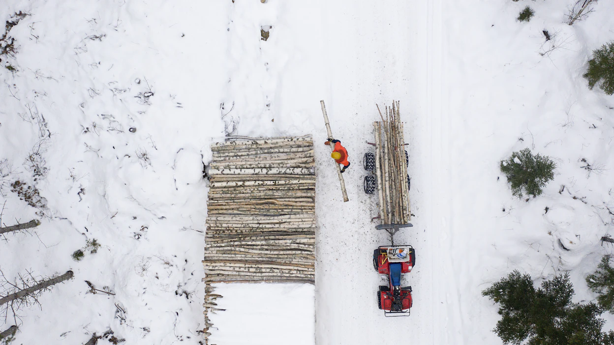 Veroilmoituslomakkeiden huolellinen täyttäminen palkitsee vaivan ja voi olla metsänomistajalle vuoden kannattavin metsätyö.