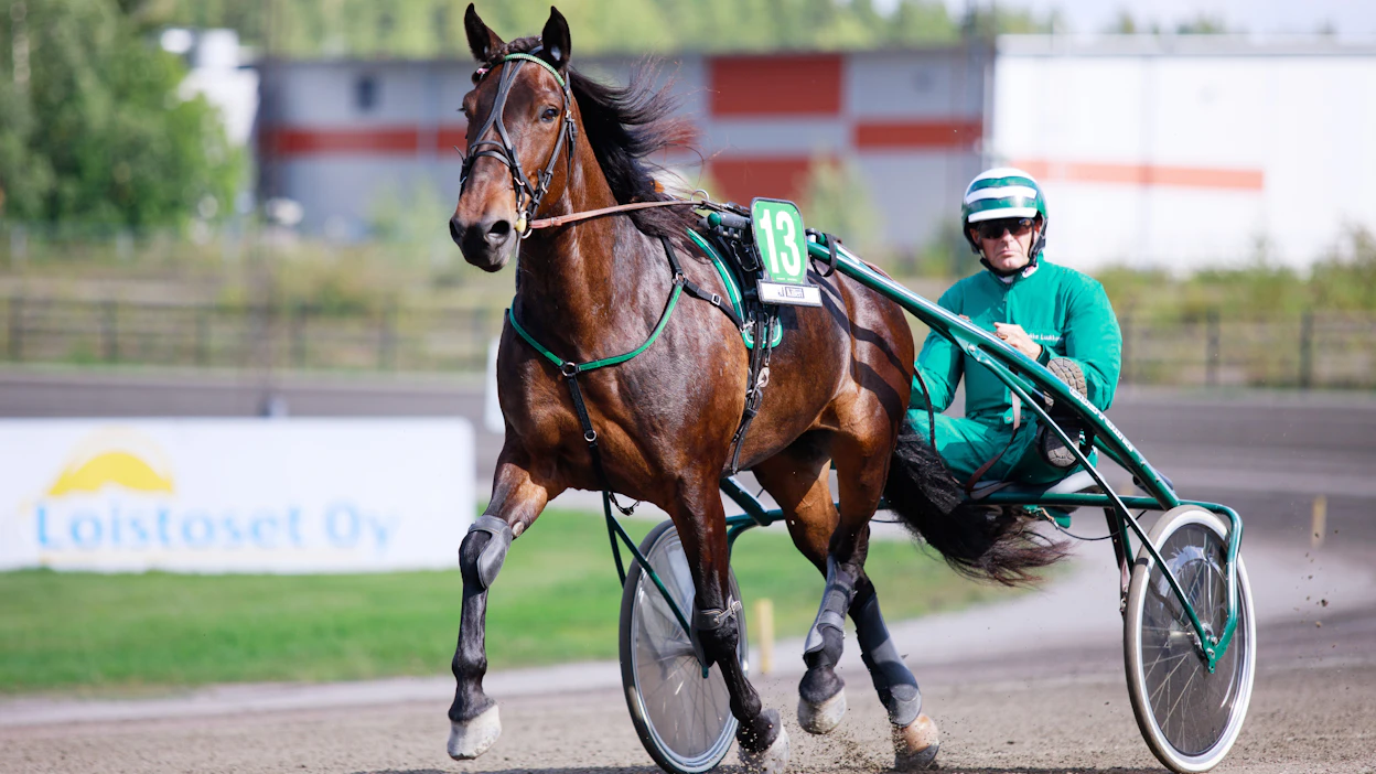 Pekka Luukkosen valmentama ja Minna Luukkosen omistama Villilempi juossut urallaan 40 starttia, joista voittoja on kertynyt 10. Hevosen voittosumma on 46 865 euroa. Ennätykset ovat 27,7ake ja 27,0ke.