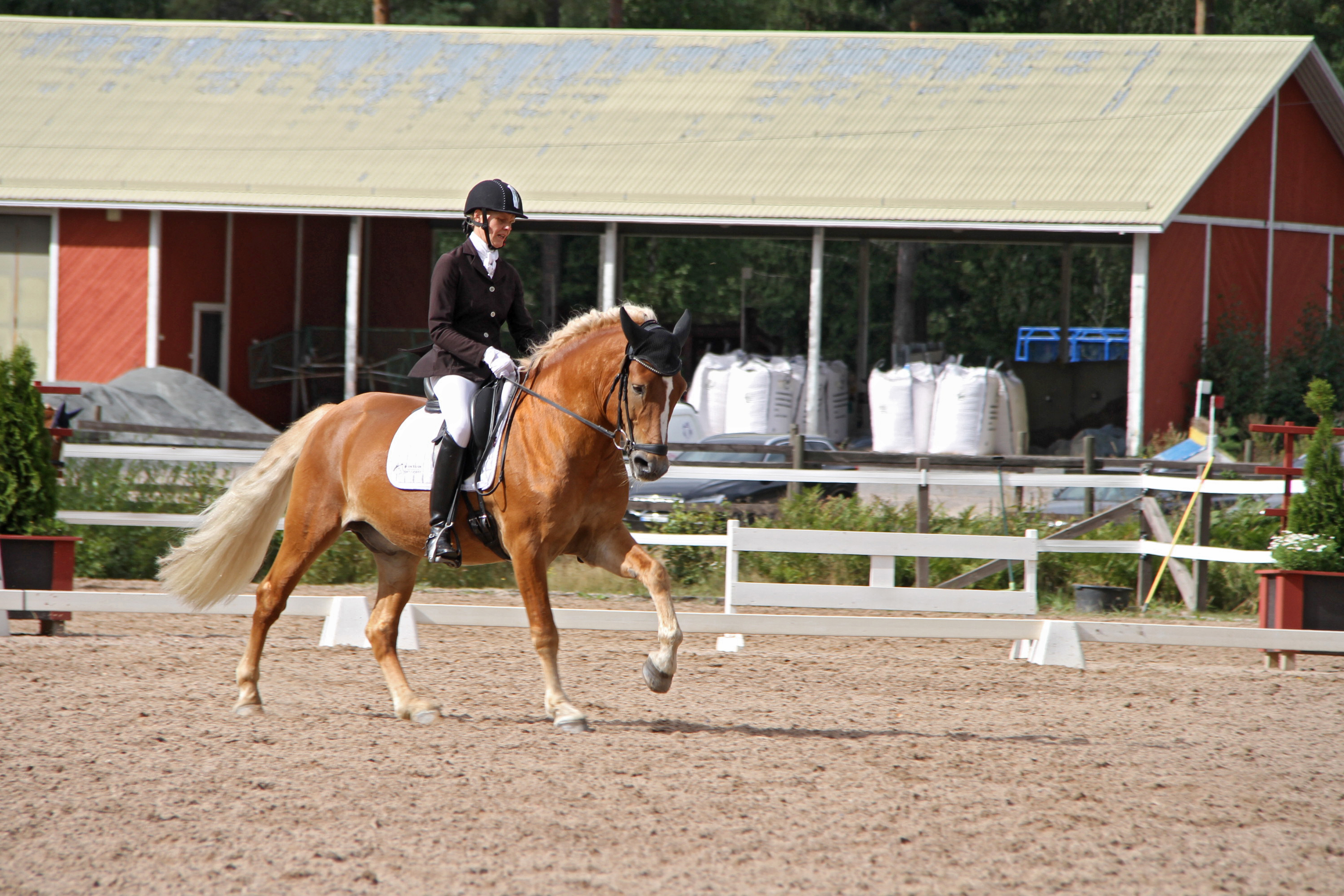 Anne Leinonen ja Säämies ovat kouluradoilla tuttu pari.