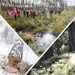 Luontoa hoidetaan ja elinympäristöjä ennallistetaan monenlaisissa kohteissa, joten metsäalan ammattilaisiltakin vaaditaan laajaa tietämystä luonnon monimuotoisuudesta ja keinoista sen turvaamiseksi.