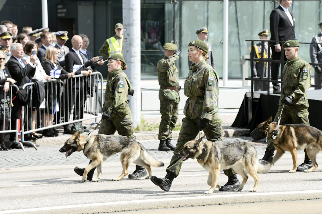 Koirat marssivat ryhdikkäästi mukana lippujuhlapäivän paraatissa Helsingin Mannerheimintiellä. LEHTIKUVA / ANNI AGREN.