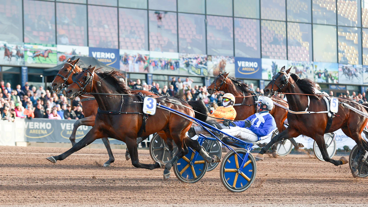 Palaset loksahtivat Stoletheshown kohdalta paikalleen ja ori voitti Finlandia-ajon jo toisena vuonna peräkkäin. Magnus Djusen ajaman voittajan kilometriaika 1620 metrin ryhmäajossa oli 10,4. Toiseksi kiri keltapukuisen Alessandro Gocciadoron Catullo Jet ennen Hali Marya (nro. 5).