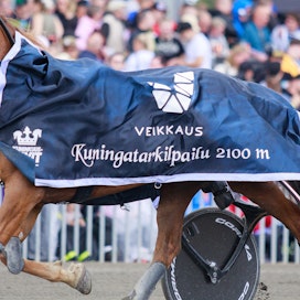 Hetviina voitti viime vuonna Forssan kuningatarkilpailun avausmatkan ja sijoittui kokonaiskisassa kolmanneksi. Paikka tämän vuoden kuningatarkilpailuun vaatii huippuonnistumisen Mikkelissä sunnuntaina.