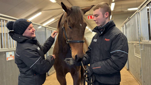 Enni Pelkonen, Elit Enrico ja Hemmi Palm Hingunniemen ravitallissa.