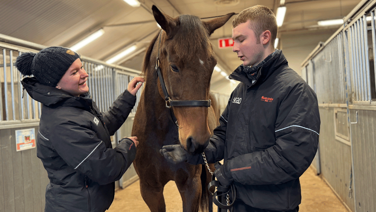 Enni Pelkonen, Elit Enrico ja Hemmi Palm Hingunniemen ravitallissa.