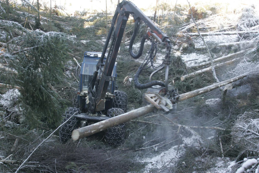 Gudrun-myrskyn vuoksi puuta tulvi tarjolle Ruotsissa vuonna 2005 yli tarpeen. Kuva on myrskypuiden korjuusta Falkenbergin kunnassa Hallandin läänissä Etelä-Ruotsissa.