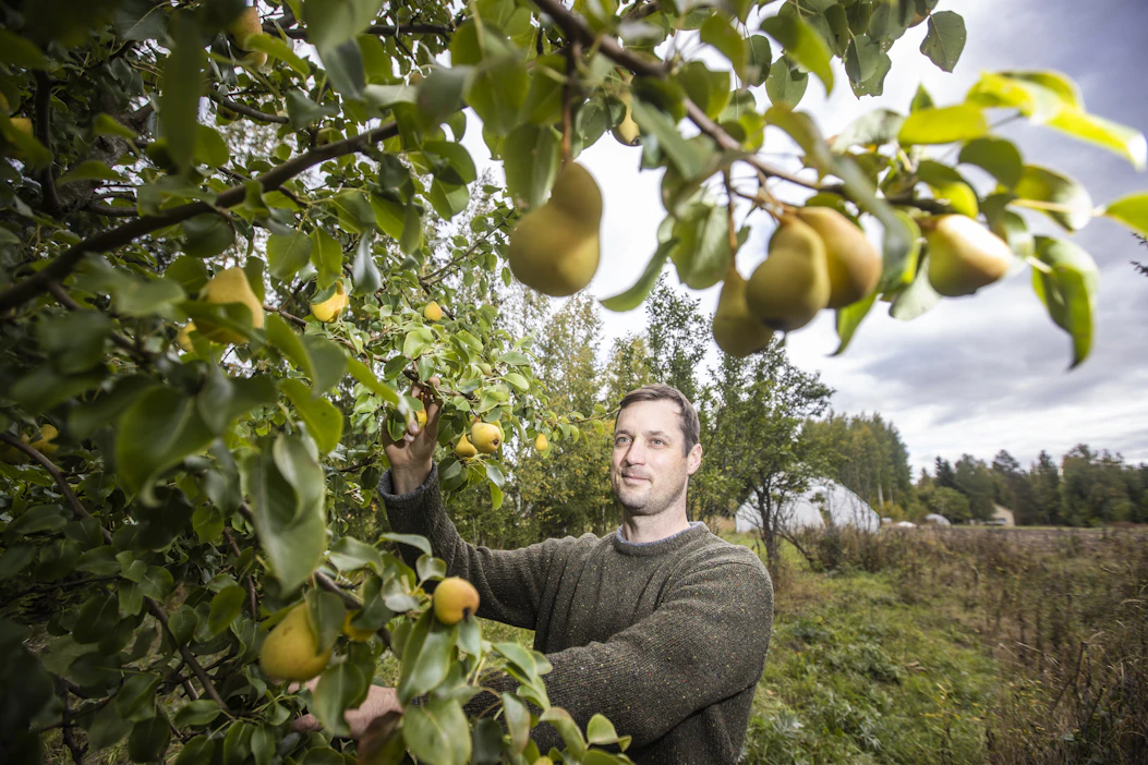 Kari Koppelmäen väitöskirjan tulosten perusteella kestävä ruokajärjestelmä koostuu biomassan, ravinteiden ja energian integraatiosta sekä monivuotisten viljelykasvien käytöstä biomassan tuottamiseen ja biologiseen typensidontaan.