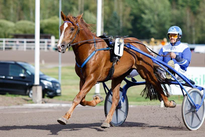 Ville Korjuksen superjuoksija, Pohjoismaiden mestari ja Nordic King Välähdys selvittelee Turussa vaativan vastuksen sekä voltin vitosen mukanaan tuomia haasteita.