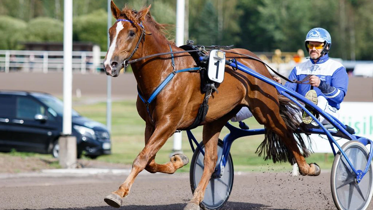 Ville Korjuksen superjuoksija, Pohjoismaiden mestari ja Nordic King Välähdys selvittelee Turussa vaativan vastuksen sekä voltin vitosen mukanaan tuomia haasteita.