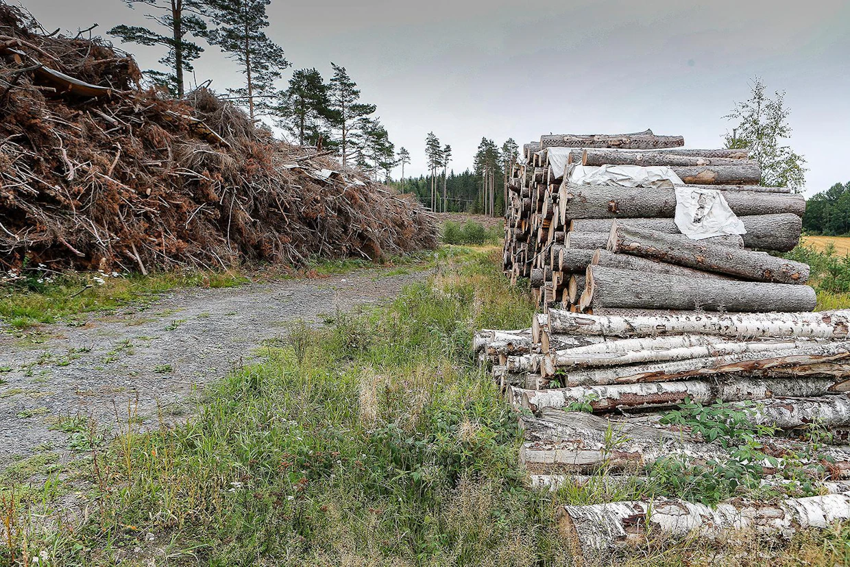 Konstsamfundet on merkittävä metsänomistaja Kemiönsaarella. Tärkeimmät puun ostajat alueella ovat Metsä Group, Stora Enso, UPM ja Westas Group.