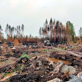 Kalajoella paloi elokuussa 227 hehtaaria metsää ja suota ja näky oli lohduton. Nyt mietitään, mitä alueella voidaan tehdä. Pystyyn jäänyt puusto odottaa seurakunnan ratkaisua.  Alueen määräaikainen suojelu on yksi vaihtoehto.