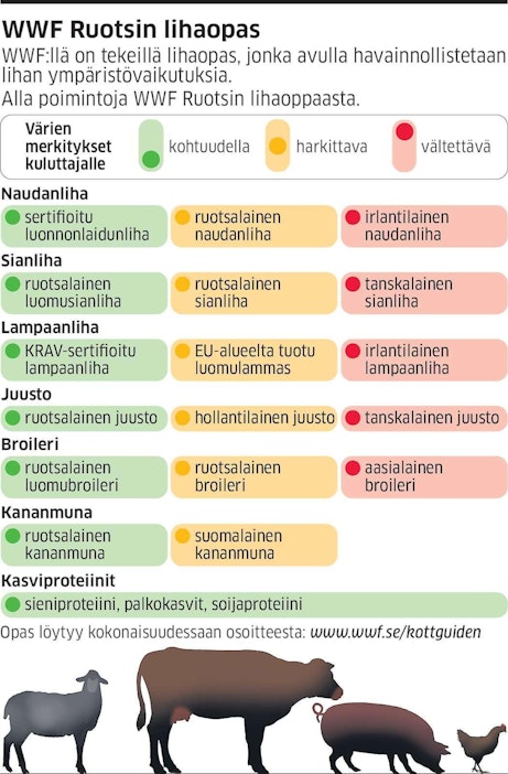 Liha saa pian liikennevalot – Ruotsissa suomalaiselle kananmunalle  näytetään keltaista valoa - Maatalous - Maaseudun Tulevaisuus