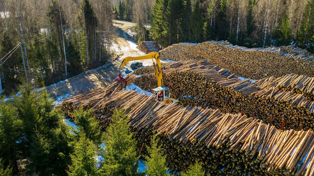 Metsäteollisuus ry:n jäsenyritykset ostivat puuta viime viikolla yksityismetsistä 464 197 kuutiometriä.