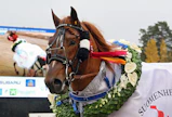 Vixus keräsi nelivuotiskauden kisoistaan huiman 140 605 euron potin. Ori voitti Kriteriumin, Oulu Expressin, Pikkupelimanni-ajon, Pikkuprinssin ja Satakunta-ajon. Derbyssä Vixus oli toinen, ja vuoden 2020 kuninkuuskisassa kolmas. Vieskerin kuudenneksi rikkaimman (319 180 euroa) jälkeläisen omistaa Talli Tosivixut.