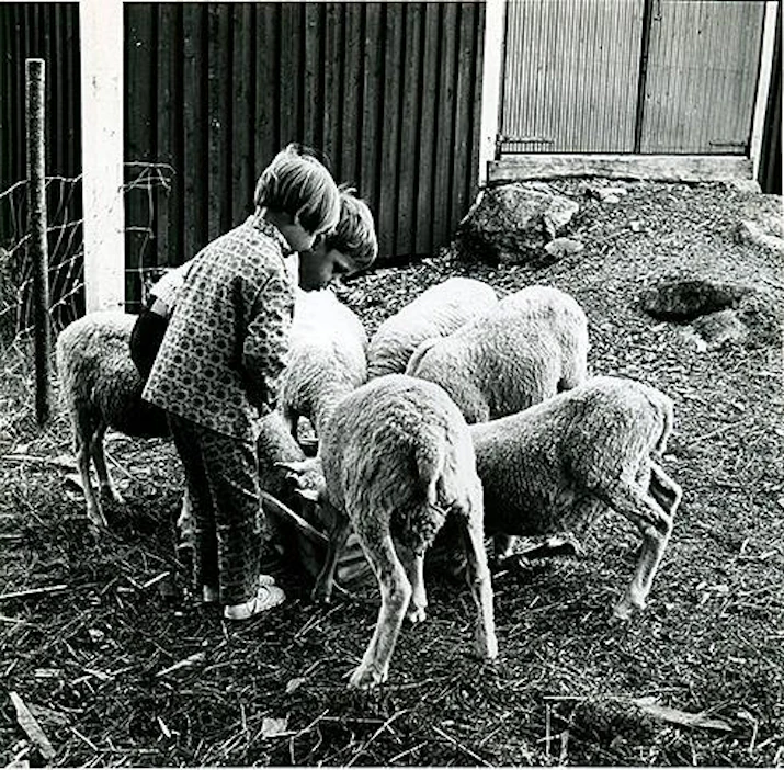 Lasten tuntema laskuloru ei ole suomalainen ainutlaatuisuus.
