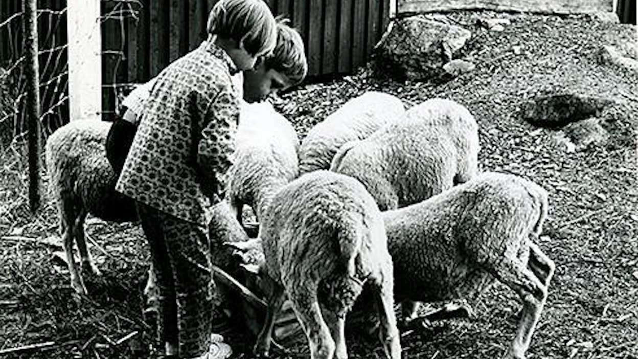 Lasten tuntema laskuloru ei ole suomalainen ainutlaatuisuus.