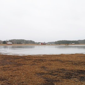 Kokemäenjoki tulvii jälleen pelloille Huittisten Raskalassa. Kuva on otettu tiistaina 17.3.