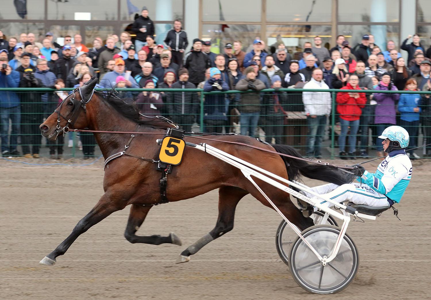 Seinäjoki Racen Kuvagalleria - MT Hevoset - Maaseudun Tulevaisuus