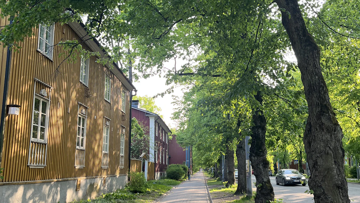 Puu-Käpylä on Raimo Pirhosen mukaan esimerkki kaavoituksesta, josta voitaisiin ammentaa inspiraatiota tulevaisuuden hankkeisiin.
