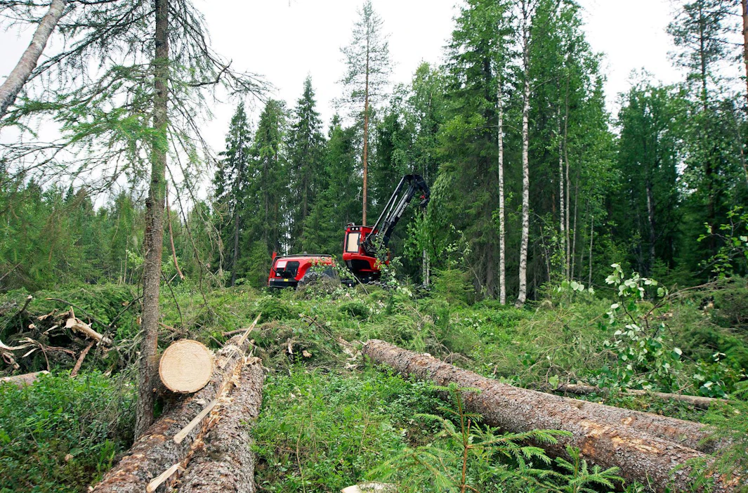Monikäyttömetsät ovat Metsähallituksen metsätalouskäytössä olevia alueita, joilla myös retkeillään, metsästetään, marjastetaan ja harjoitetaan esimerkiksi poronhoitoa ja matkailua.