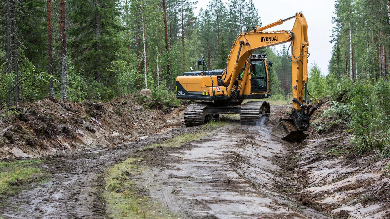 Metsäkeskus lähettää tällä viikolla metsänomistajille kirjeet, kuinka kannattaa menetellä Otson konkurssitilanteessa. Kuvituskuva.