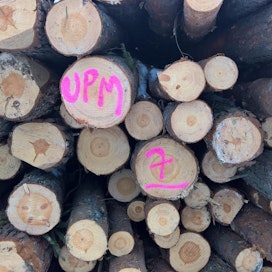 UPM ilmiantoi metsäyhtiöiden kartellin vuonna 2004.