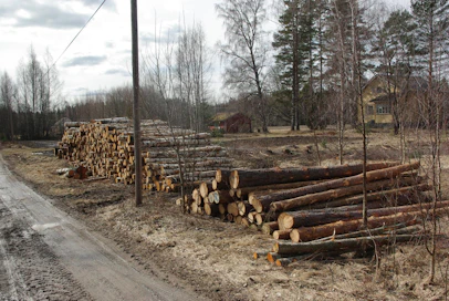 Tukin hinnat saattavat nousta jopa sahatavaran vientihintoja enemmän, varoittaa PTT.