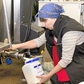 Tinkimaito Bisan tila Marjaana Sjöblom laskee maitoa tilatankista asiakkaiden kannuihin