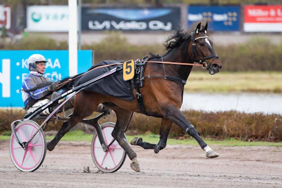 Voihan pirskatti! Elian Web sai kultadivisioonan finaaliin radan 11. Mutta voisiko kovakuntoinen valjakko (ohjissa Jorma Kontio) voittaa Solvallassa sieltäkin?