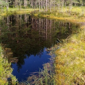 Helsingin Östersundomissa sijaitseva Hältingträsk on hyvin säilynyt metsälampi, joka on uhanalaisuudeltaan silmällä pidettävä luontotyyppi.