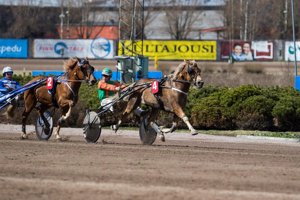 Polara tekee valmentaja-ohjastajansa Antti Tupamäen mukaan nousua tasolleen.