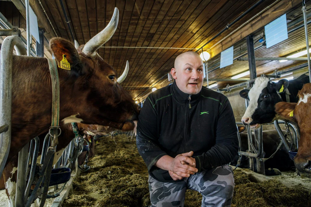 Veli-Mikko Suihkosen kanssa kaverikuvaan sopii navetan vanha rouva, kahdeksan kertaa poikinut Äpyli.